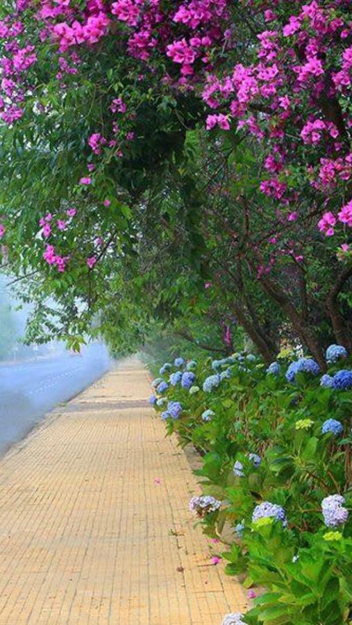 Hostel Phuong Nga Da Lat Kültér fotó